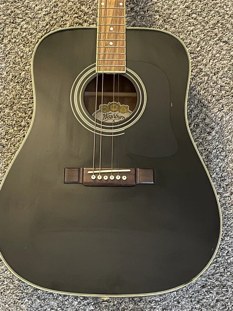 直売卸し売り washburn ea40 snb blk homma-consulting.jp